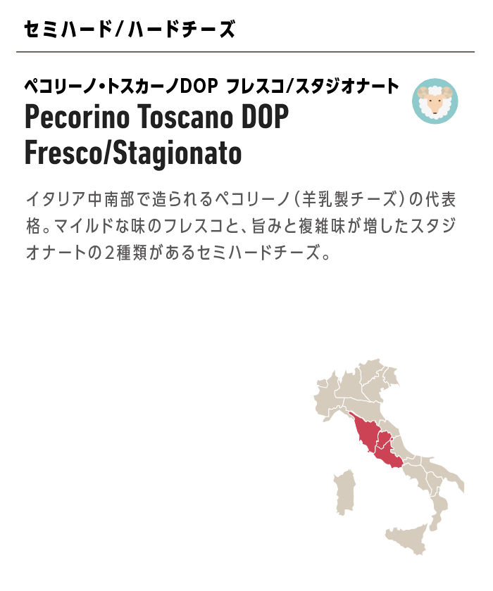 Pecorino Toscano DOP Fresco/Stagionato ペコリーノ・トスカーノDOP フレスコ/スタジオナート